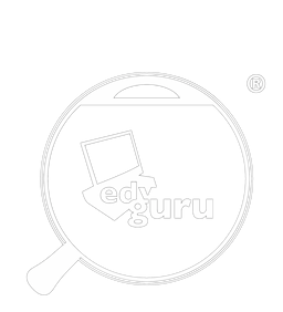 EDV-Guru